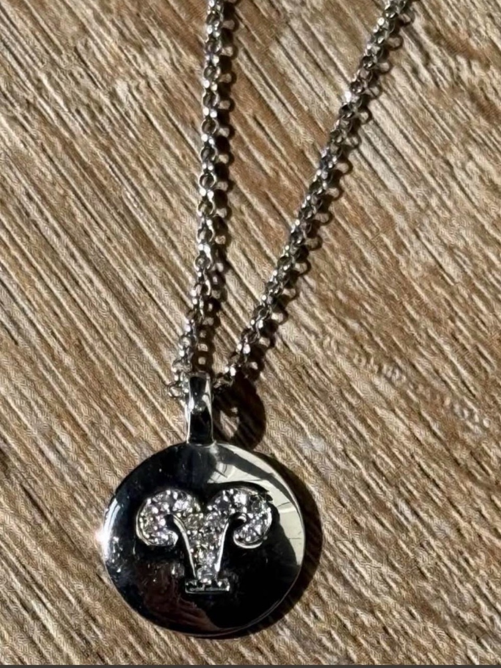 Silver Aries Necklace